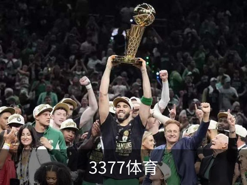 3377体育介绍